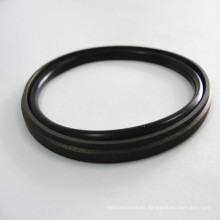 Piston Seal Application in Standard Cylinders Seals